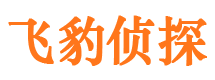 松江侦探公司